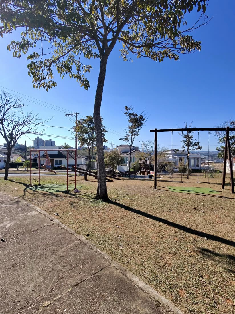 Foto feita com o Ray-Ban Meta — parque
